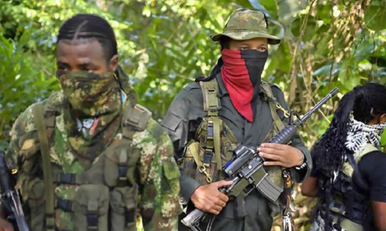 Guerrilla colombiana